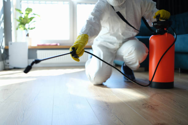 Reliable Biohazard contractor in Lovejoy, IL by Trauma Clean Pros